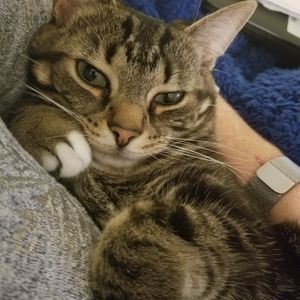 Meet your Posher, Annie